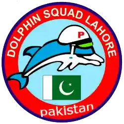 Dolphin police logo