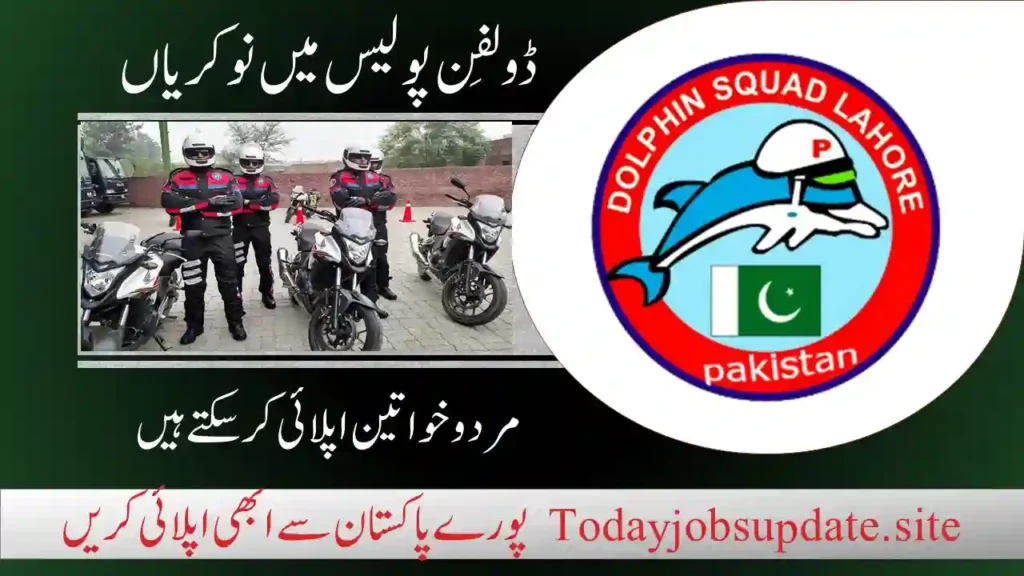 Dolphin police jobs