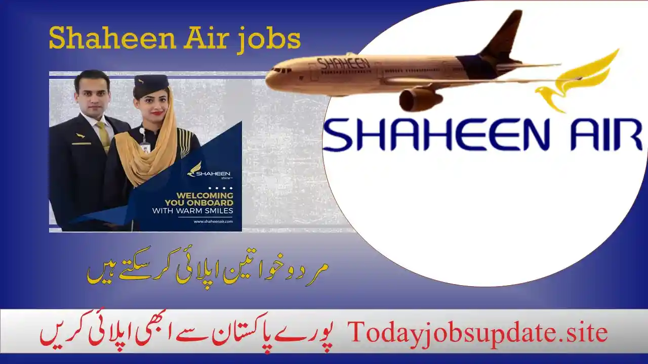 shaheen air jobs